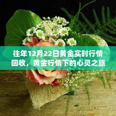 黄金行情下的心灵之旅,往年黄金回收行情与自然美景的探寻