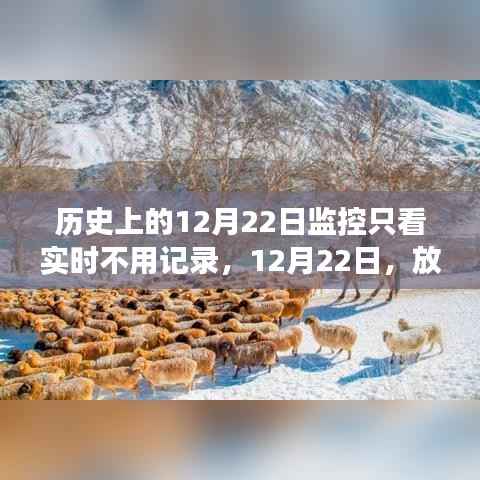 12月22日,放下记录,心灵旅行的日子