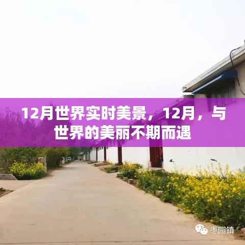 12月世界美景尽收眼底,与全球美丽的不期之约