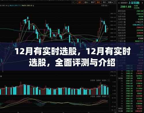 实时选股策略解析,全面评测与介绍