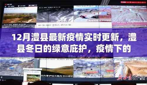 澧县疫情实时更新，冬日的绿意庇护与疫情下的自然探索