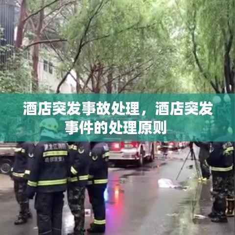 酒店突发事故处理,酒店突发事件的处理原则