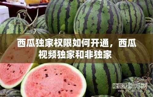 新闻中心 第112页