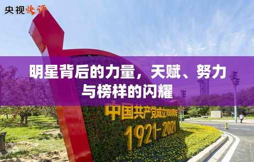 明星背后的力量,天赋、努力与榜样的闪耀