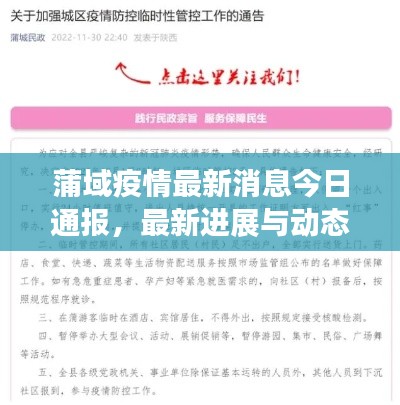 蒲域疫情最新消息今日通报，最新进展与动态关注
