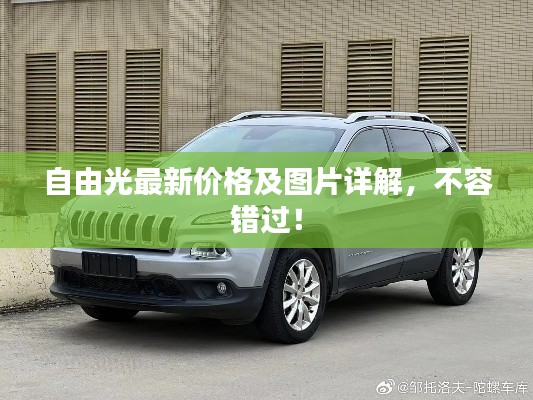 自由光最新价格及图片详解,不容错过!