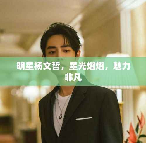 明星杨文哲,星光熠熠,魅力非凡
