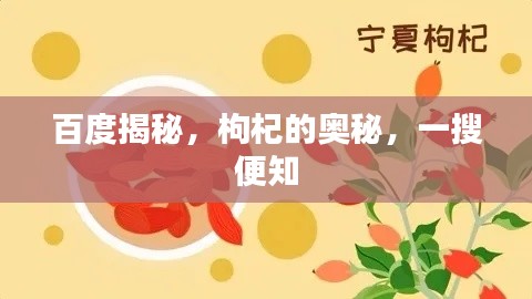 百度揭秘,枸杞的奥秘,一搜便知