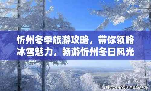忻州冬季旅游攻略,带你领略冰雪魅力,畅游忻州冬日风光!