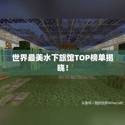 世界最美水下旅馆TOP榜单揭晓！