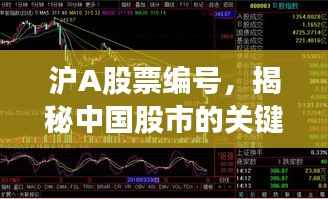 沪A股票编号,揭秘中国股市的关键标识!