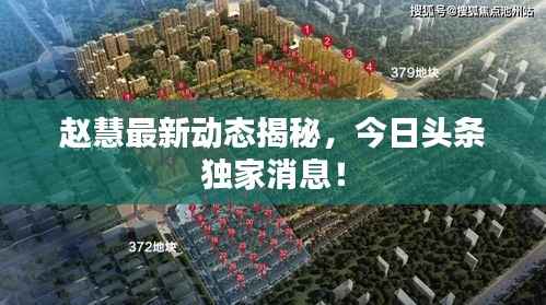 赵慧最新动态揭秘,今日头条独家消息!