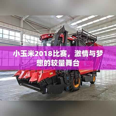 小玉米2018比赛，激情与梦想的较量舞台