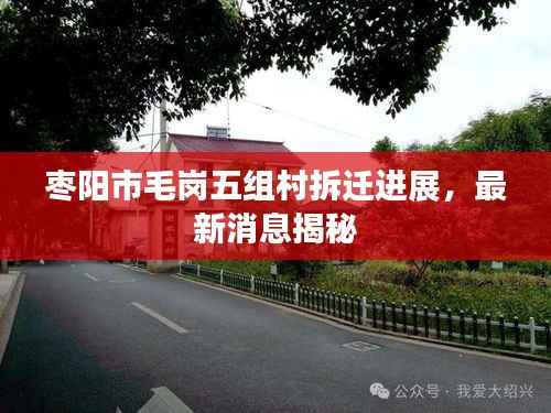 枣阳市毛岗五组村拆迁进展,最新消息揭秘
