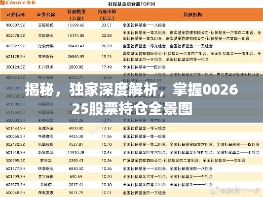 揭秘,独家深度解析,掌握002625股票持仓全景图