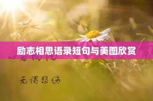 励志相思语录短句与美图欣赏