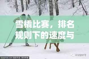 雪橇比赛,排名规则下的速度与激情角逐