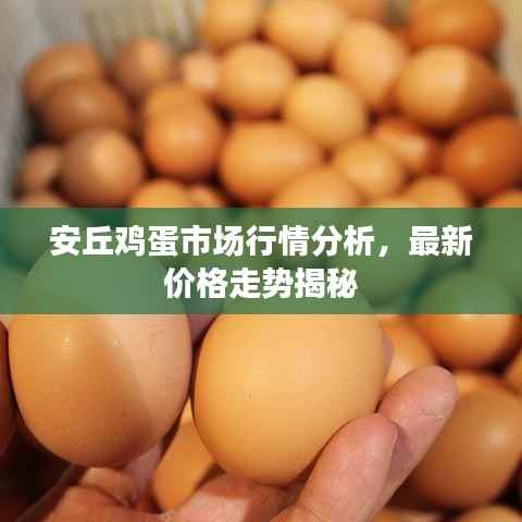 安丘鸡蛋市场行情分析,最新价格走势揭秘