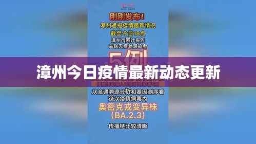 漳州今日疫情最新动态更新