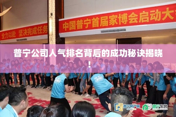 普宁公司人气排名背后的成功秘诀揭晓!