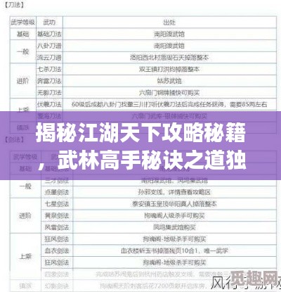 揭秘江湖天下攻略秘籍,武林高手秘诀之道独家揭秘
