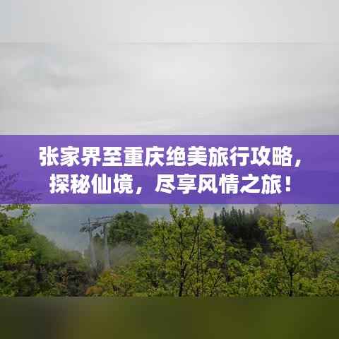 张家界至重庆绝美旅行攻略,探秘仙境,尽享风情之旅!