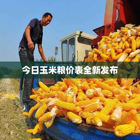 今日玉米粮价表全新发布