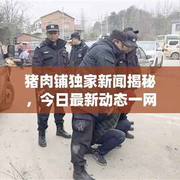 猪肉铺独家新闻揭秘,今日最新动态一网打尽