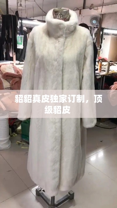 貂貂真皮独家订制，顶级貂皮 