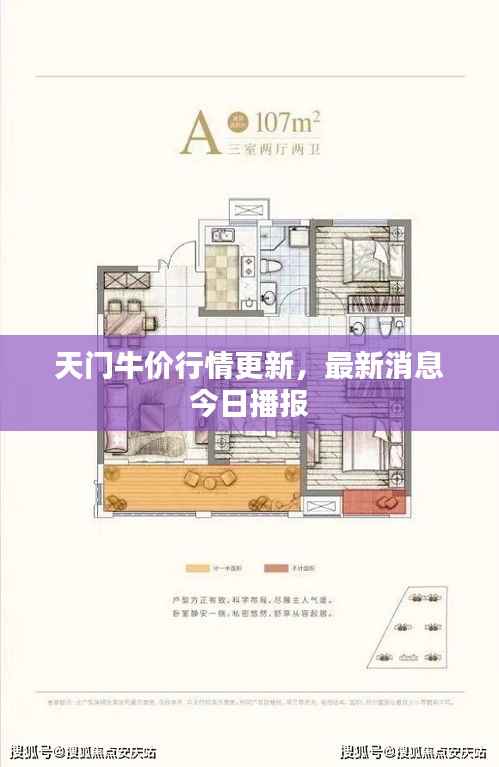天门牛价行情更新,最新消息今日播报