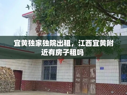 宜黄独家独院出租,江西宜黄附近有房子租吗
