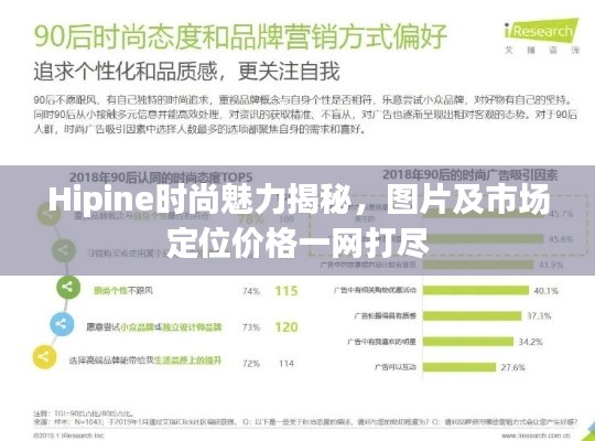 Hipine时尚魅力揭秘,图片及市场定位价格一网打尽