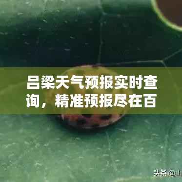 吕梁天气预报实时查询,精准预报尽在百度!