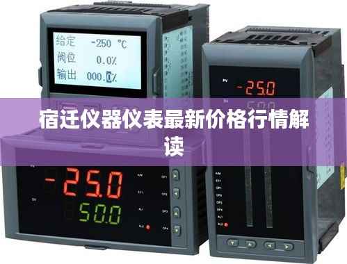 宿迁仪器仪表最新价格行情解读