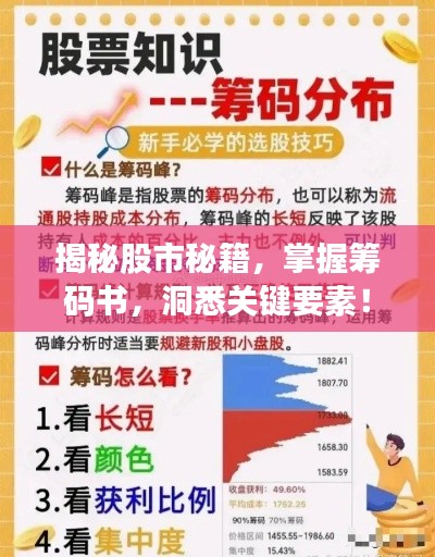 揭秘股市秘籍,掌握筹码书,洞悉关键要素!