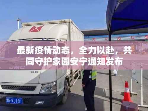 最新疫情动态，全力以赴，共同守护家园安宁通知发布