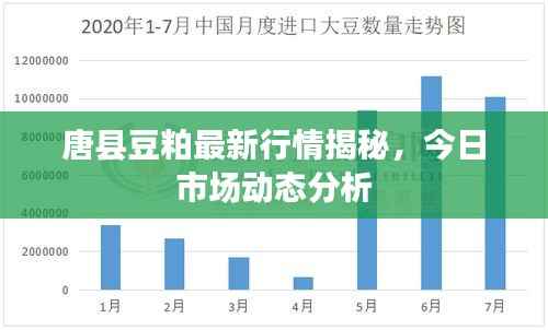 唐县豆粕最新行情揭秘,今日市场动态分析